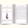 A look inside the Akathist to St Gerasimus of Boldino Akathist Hymn to St. Gerasimus of Boldino (eBook)